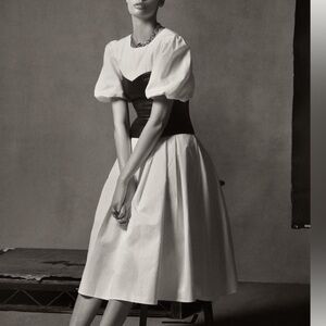 Anthropologie 18W Eri + Ali Cotton Corset Seamed Puff Sleeve Dress EUC 2X